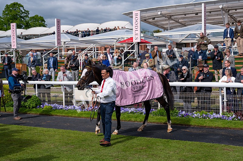 150526-Race 5-Rahiebb-3007 - Race 5 4.05pm Boodles Yorkshire Cup Stakes