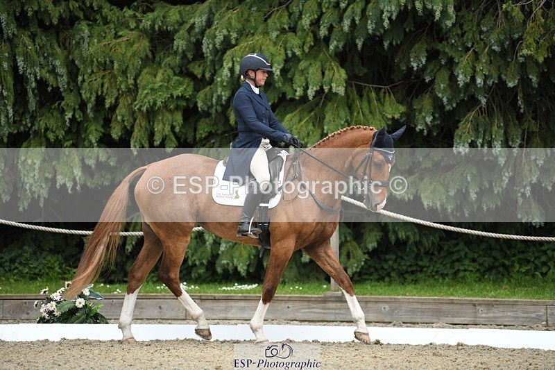 230525-151926-03224 - 308-NEFFECT_S-Kat_Raybould-WEDTrotUp+DR