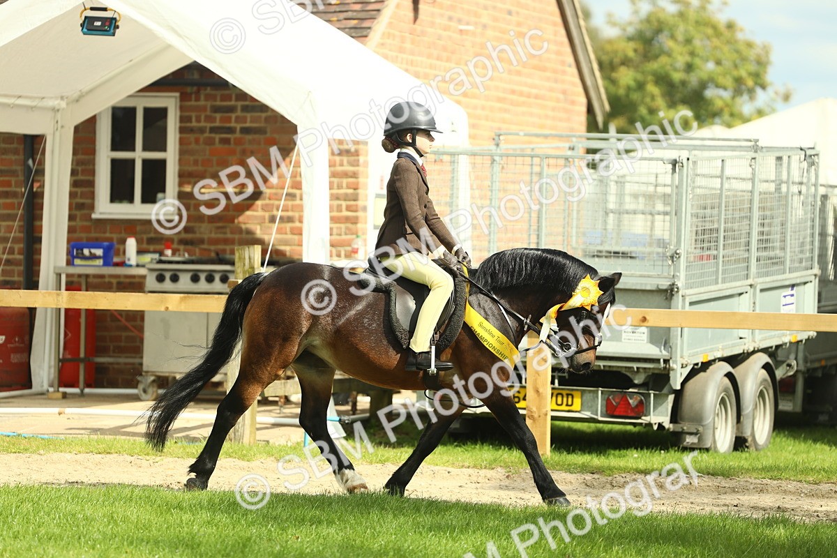 SBM_44915 - Working Hunter Pony Supreme Championship