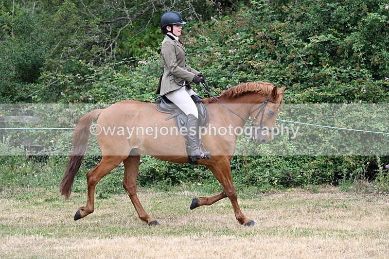 WJ7_0207 - Class 2 Best rider
