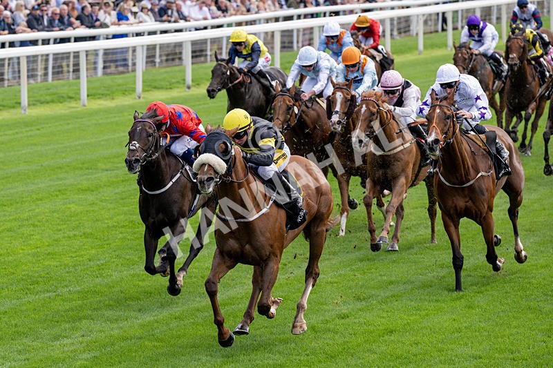 190826-Race 1-Air Force One-0145 - Race 1 13.50pm Hong Kong Jockey Club World Pool Handicap