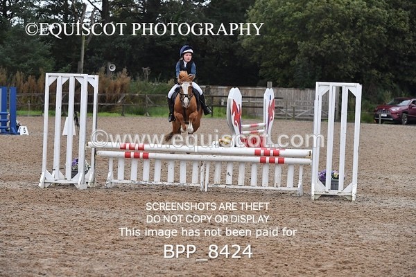 BPP_8424 - CLASS 3 Pony BritiNovice / 0.80m Open