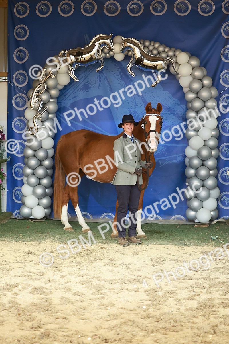 SBM_13720 - Class 104 - IH  Costume