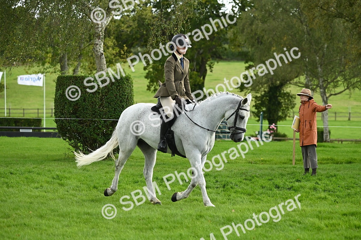 SBM_26600 - S7 - Novice & Newcomer Ridden Pony