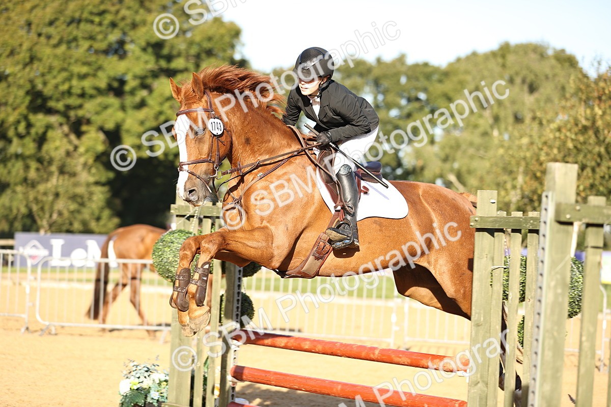 SBM_33166 - J38 - Senior 80cm Championship