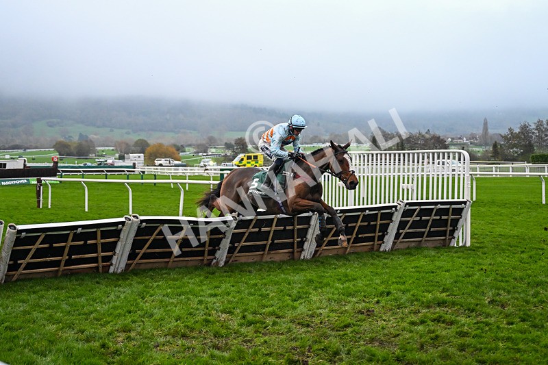 151125-Race 6-Royal Rambler-4109 - Race 6