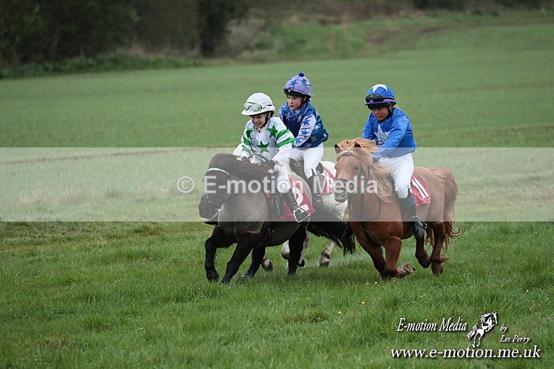 SHETPR 210425 179 - Shetland Ponies Paxford Races 21/04/25