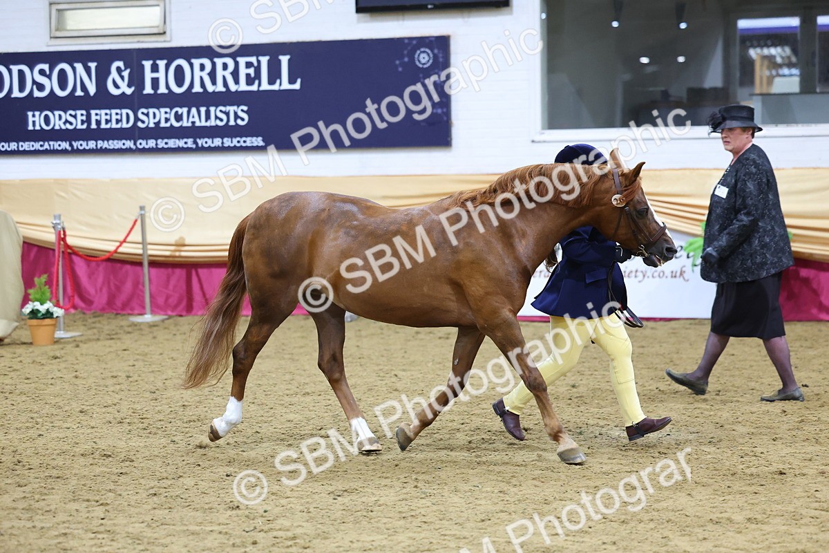 SBM_19704 - Class 901 - Supreme Final - IH Diamond