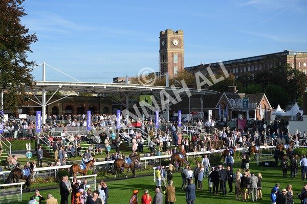 yr08102021r5-6 - Race 5 4.20pm Copper Knight - Winning Most Horse At York Handicap