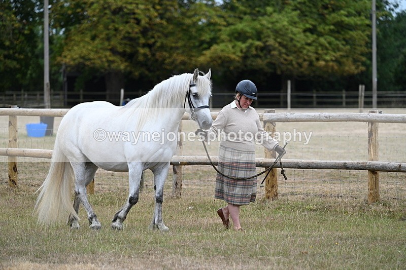 WJ7_8694 - Class 4a Prettiest Mare 14.2hh and over