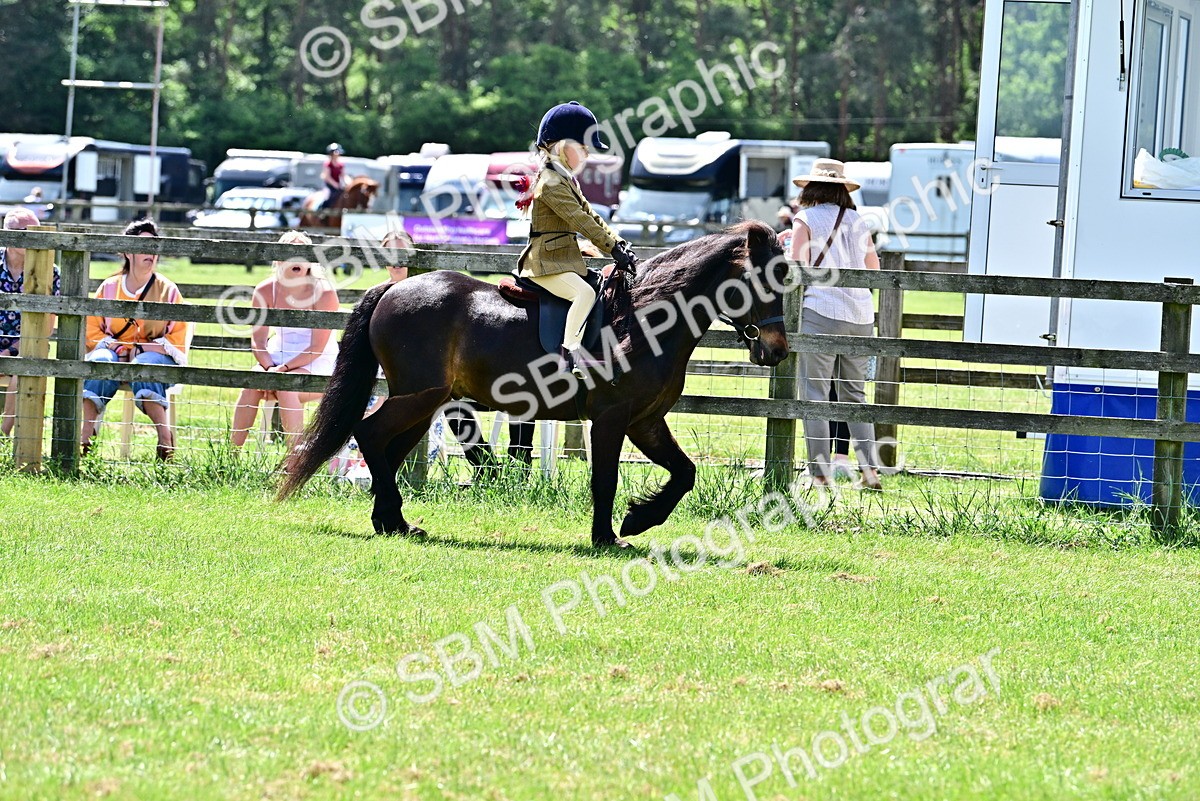 SBM_06034 - Class 59-60 - TSR M&M  Lear Rein and First Ridden Amateur of the year