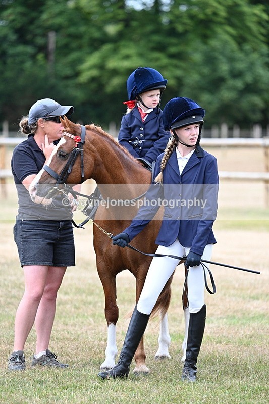 WJ7_9950 - Class 1 Lead Rein Pony