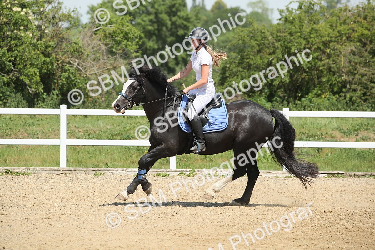 SBM_012343 - 90cm