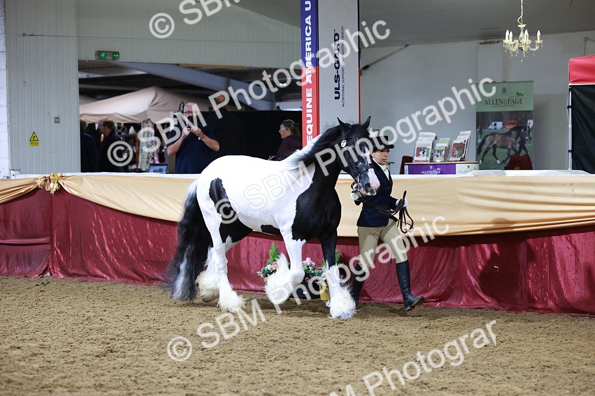 SBM_20400 - Class F - IH Small (148cm & Under)Champ