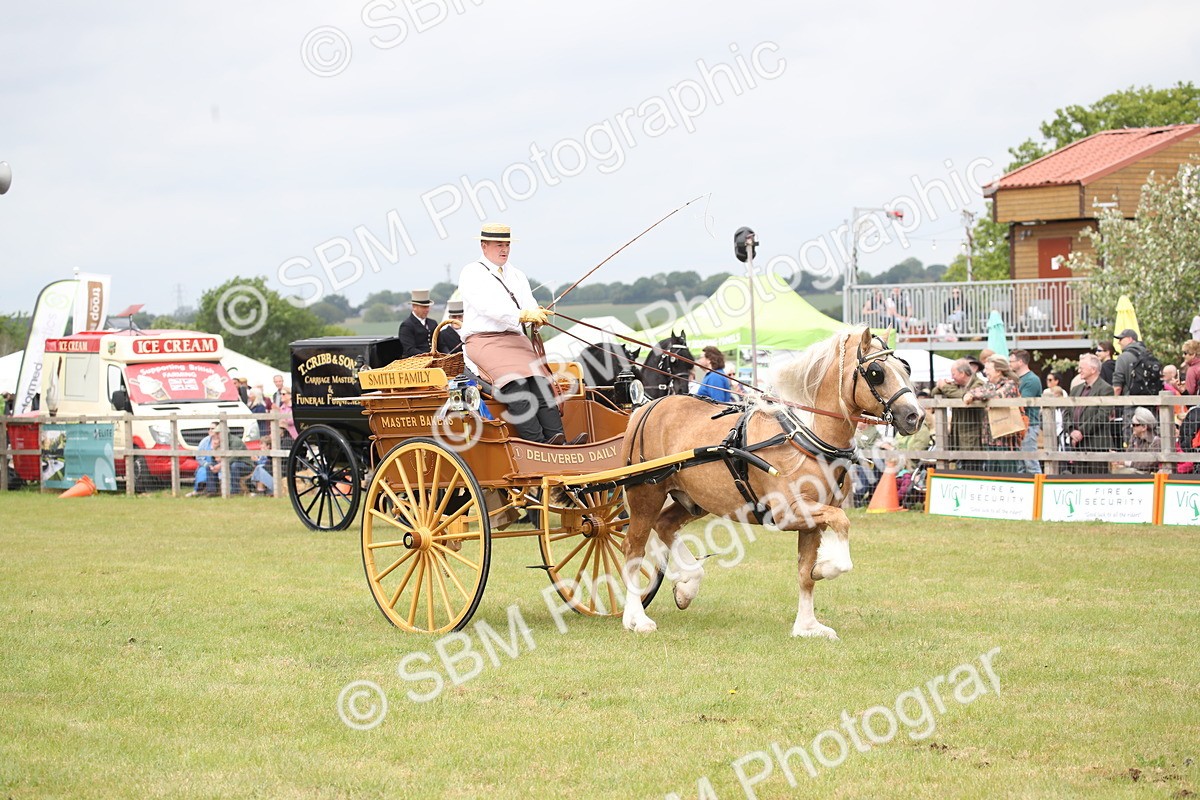 SBM_07061 - Class 16 - Light Trade