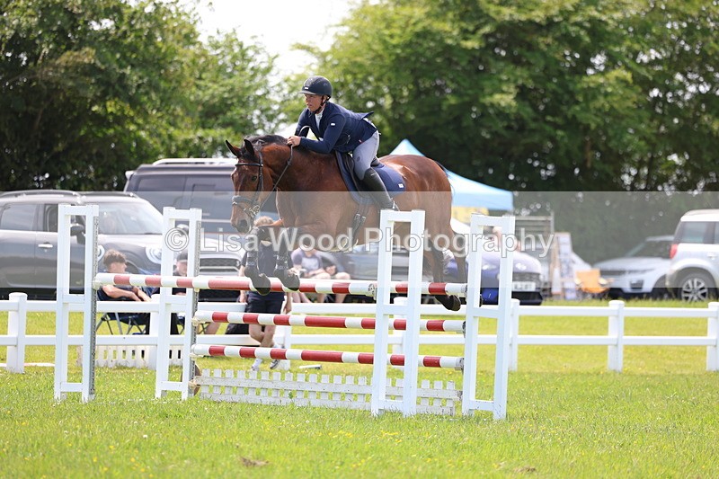 3E7A1387 - Class 12: Senior Foxhunter/1.20 open