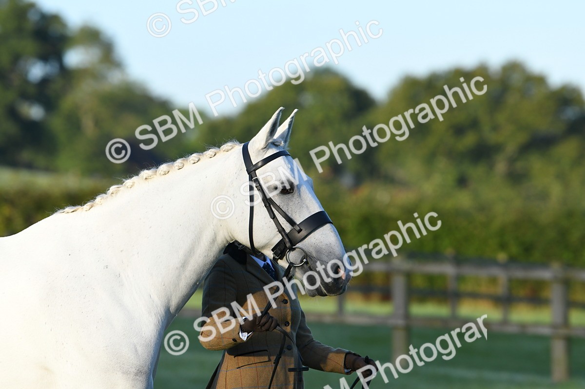 SBM_32421 - S15 - Condition & Turnout In Hand