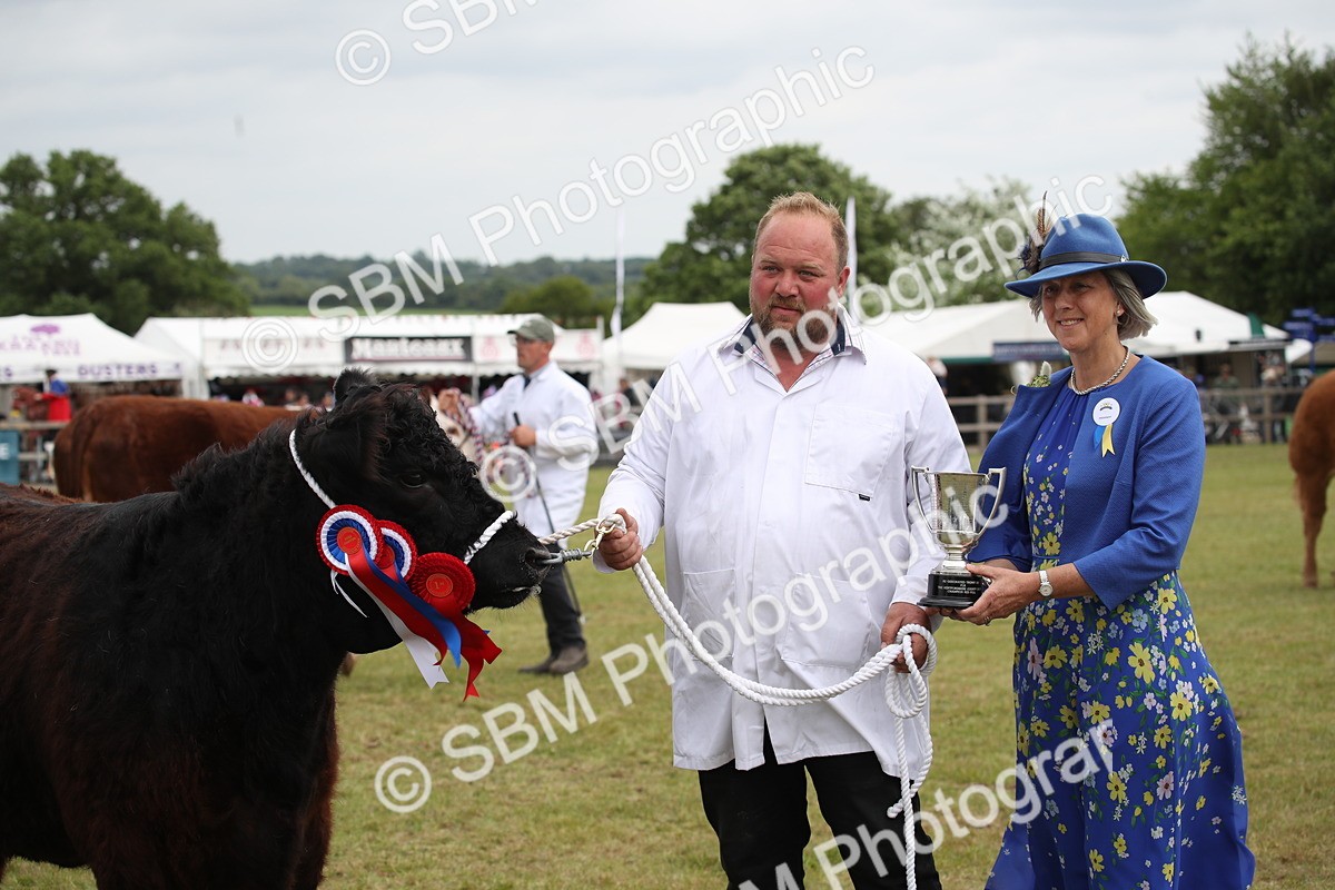 SBM_07907 - Grand Parade