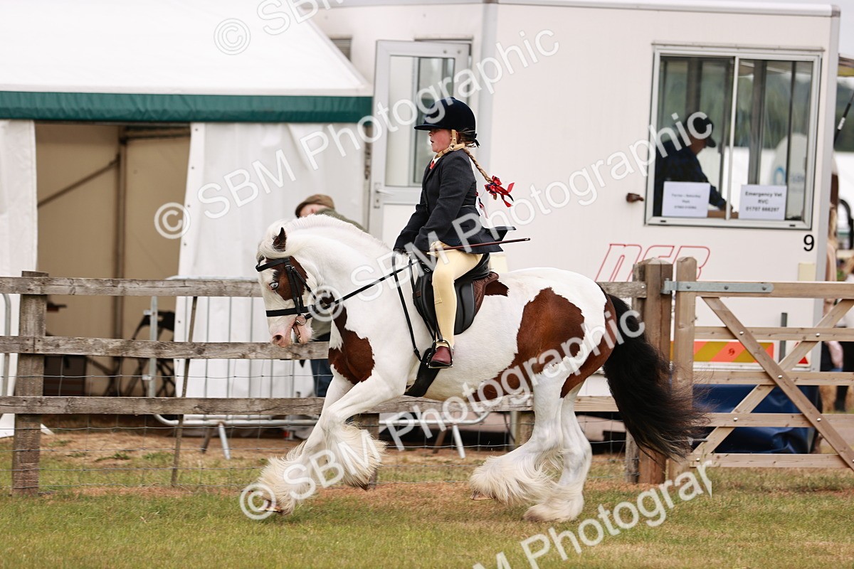 SBM_06155 - Class 39-41 TGCA In Hand and Ridden