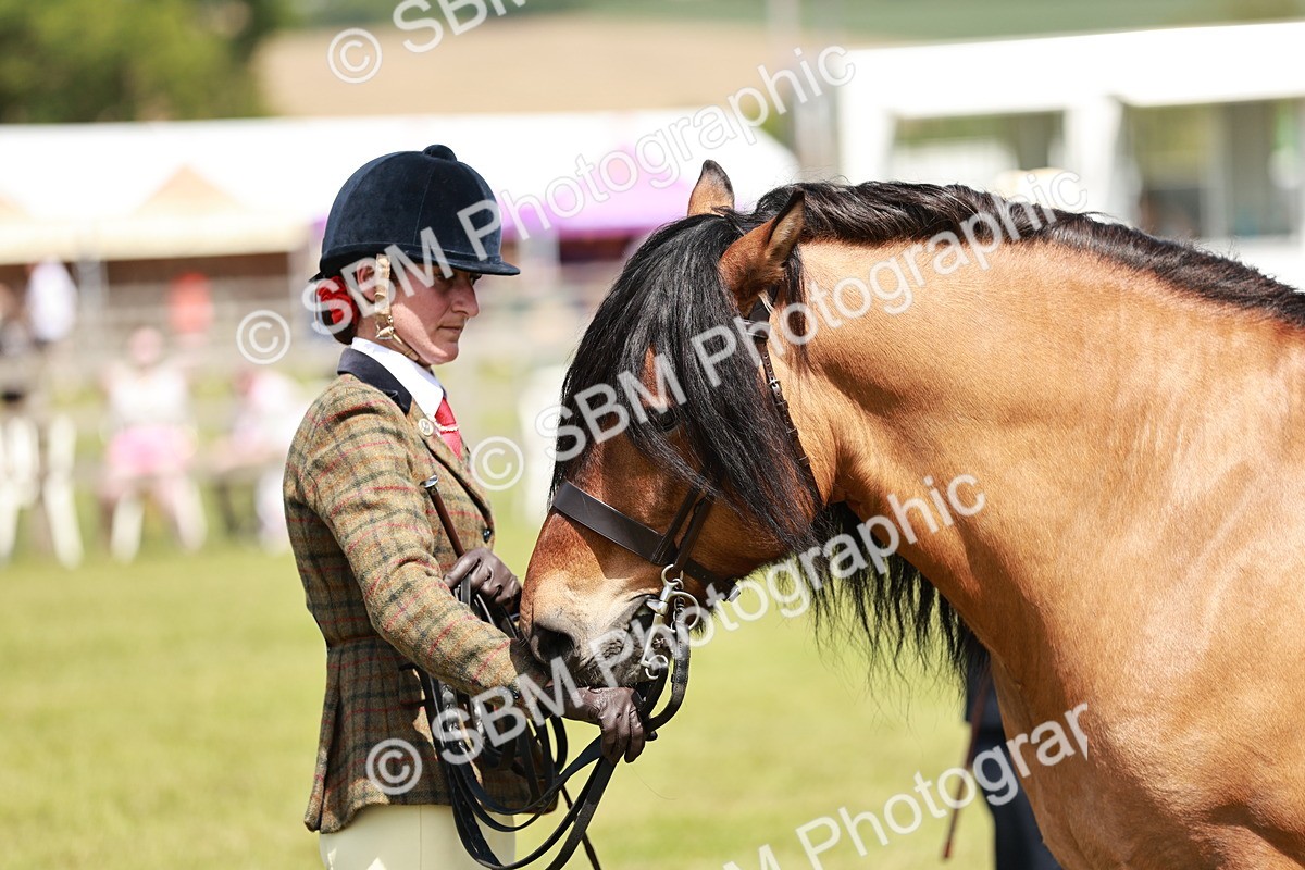 SBM_07155 - Class 26-30 - Mountain and Moorland Ridden