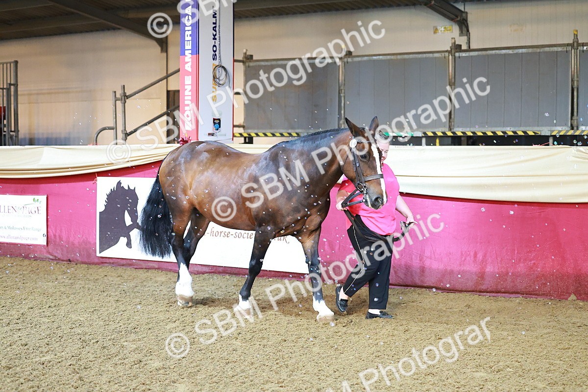 SBM_14661 - Class C - Novelty champ