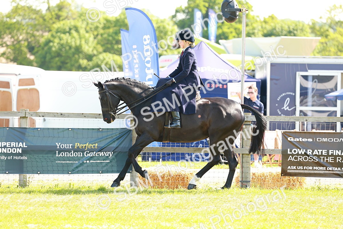 SBM_13164 - Class 70-71 - Side Saddle