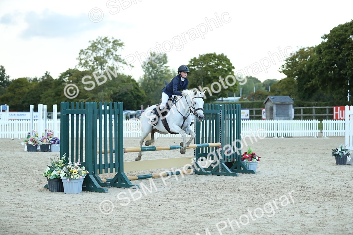 SBM_53732 - Supreme Championship 65cm 70cm