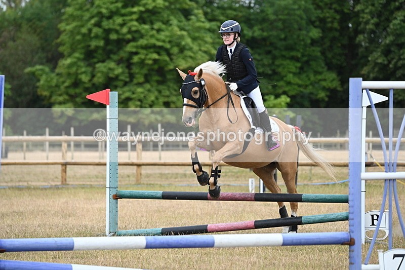 WJ6_9907 - Class 13 Novice Jumping 60cm
