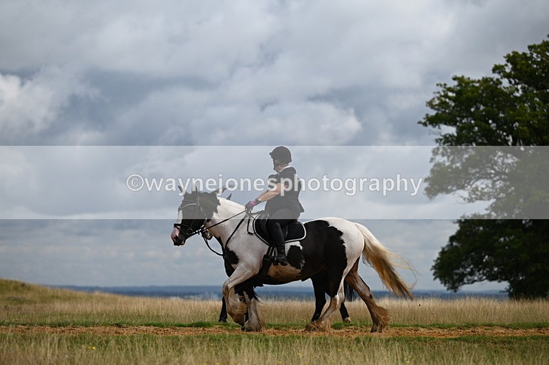 DSC_4077 - Time at Statue 09:50 to 11:09