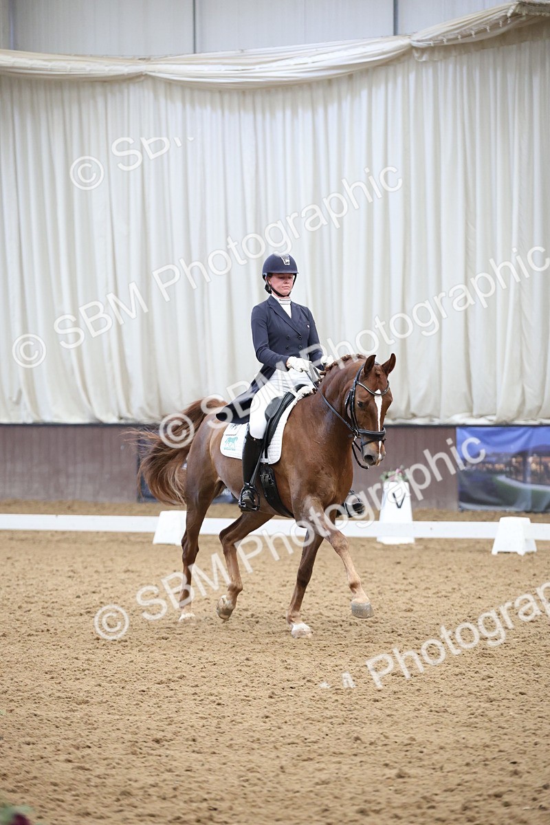 SBM_004358 - Class 9 - FEI Inter 1 Gold - 15.55-16.43