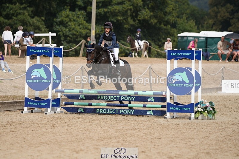 250824A-121416-35880 - 2053-Ava.Sampson-Chameleon