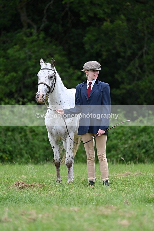 WJ7_4424 - Class 14B Prettiest Mare