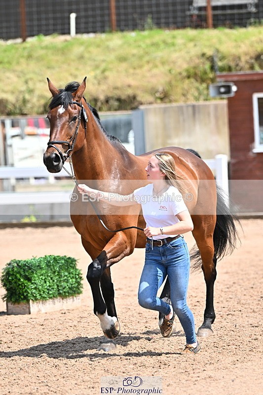 240718A-105315-01761 - Trot Up 1pm to 2pm