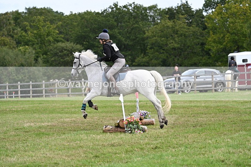 WJ7_7968 - 40cm Time 10:49 to 11:18