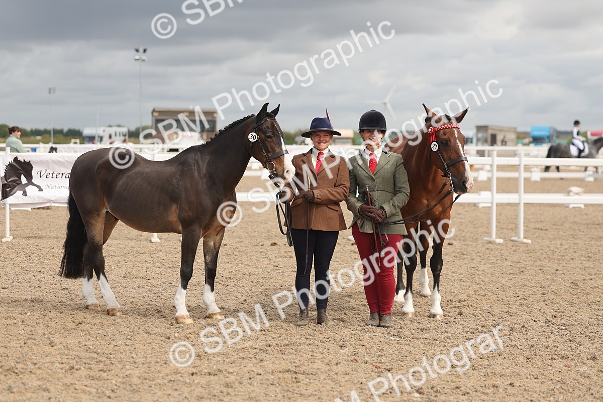 SBM_04464 - Class 18 - Handsomest Gelding (IH or Ridden)