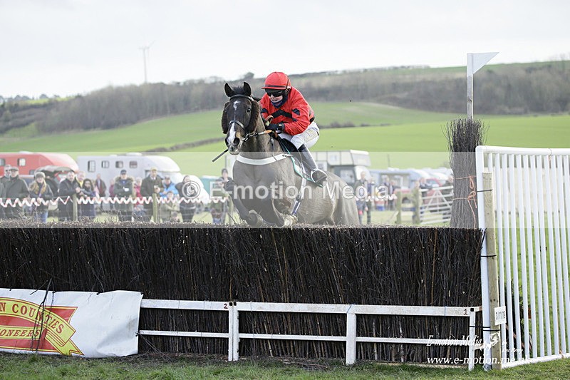 PtP 300122 560 - South Dorset Hunt - Point-to-Point Races 30/01/2022