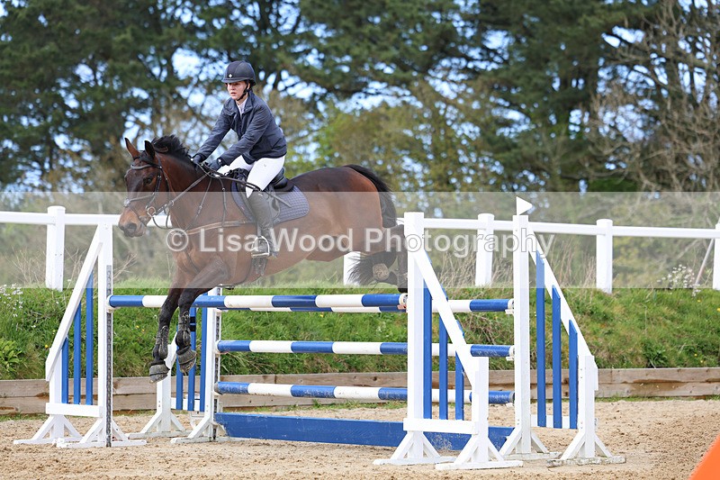 3E7A2077 - Class 8: Senior Foxhunter/1.20 open