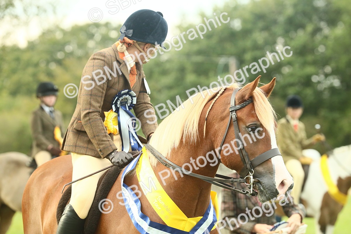 SBM_75110 - Ridden Pony Supreme Championship