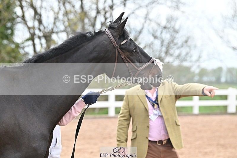 250423-164906-02267 - 4pm to 5pm