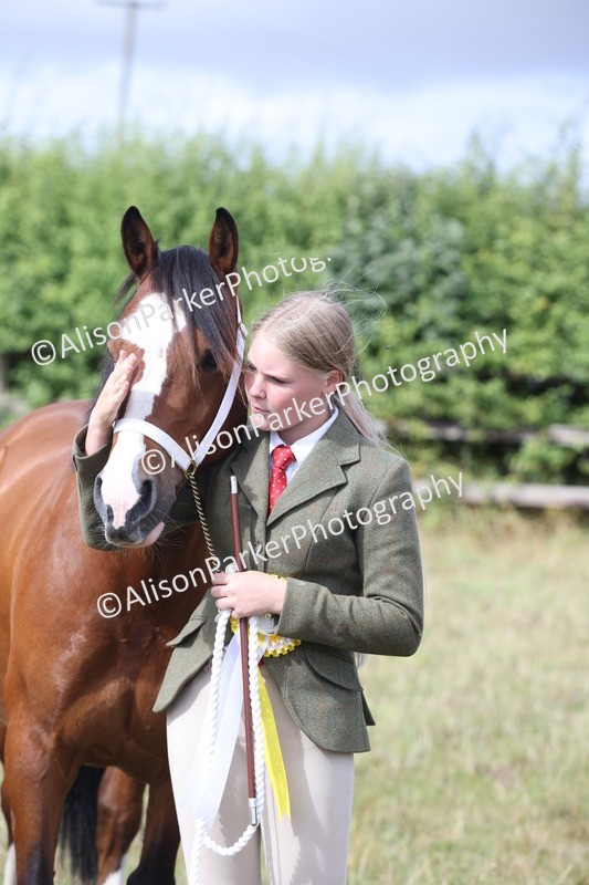 20250831-1702 - Class 22 - Mountain and Moorland Inhand