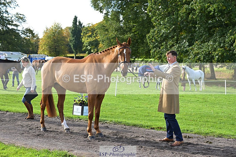 241023-130929-00102 - 054-Matthew.Heath-DASSETT.VENTURE