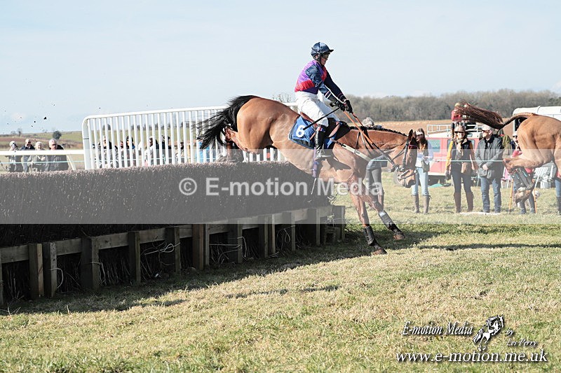 PtP 010325 117 - Beaufort Races Didmarton 01/03/25