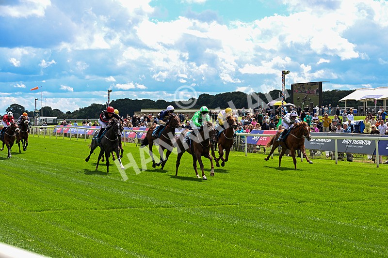 120626-Race 2-Everatease-0115 - Race 2 14.25pm Constant Security Keeping York Racegoers Safe Rous Selling Stakes