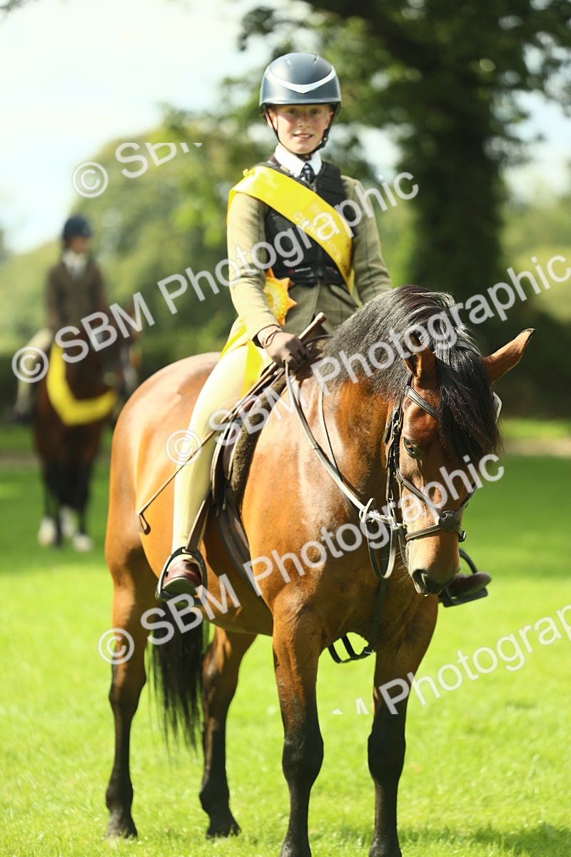 SBM_44957 - Working Hunter Pony Supreme Championship