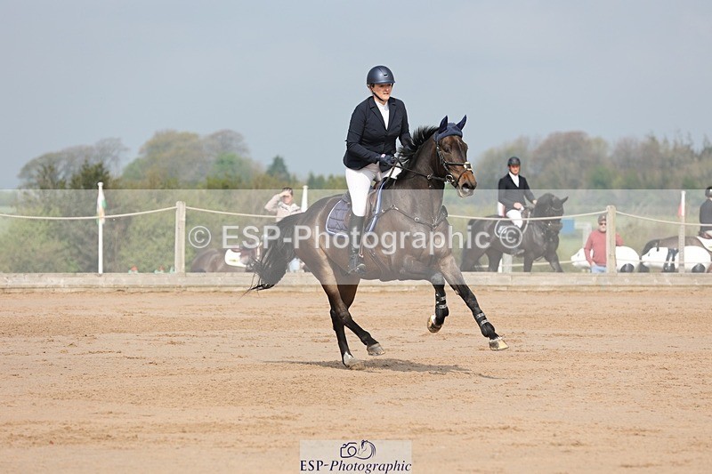 250424-102841-03039 - Cls 33 Young Horse 7yr old