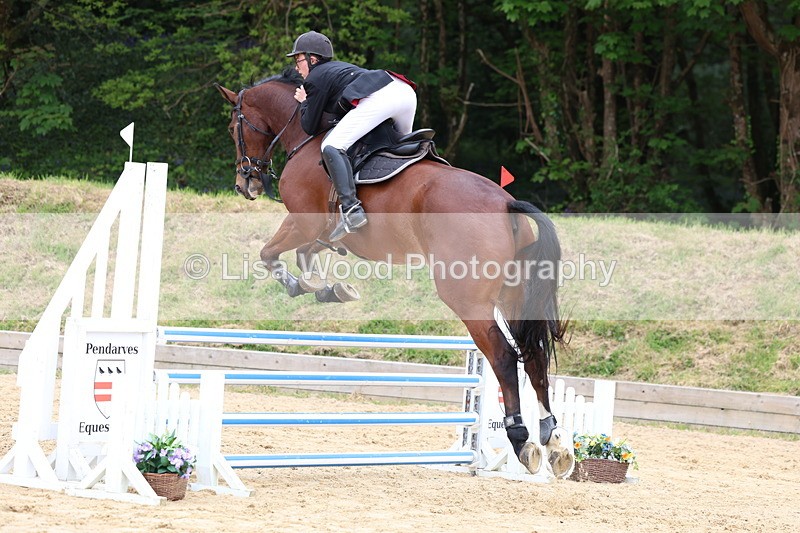 3E7A6009 - Class 4: Senior British Novice/90cm open