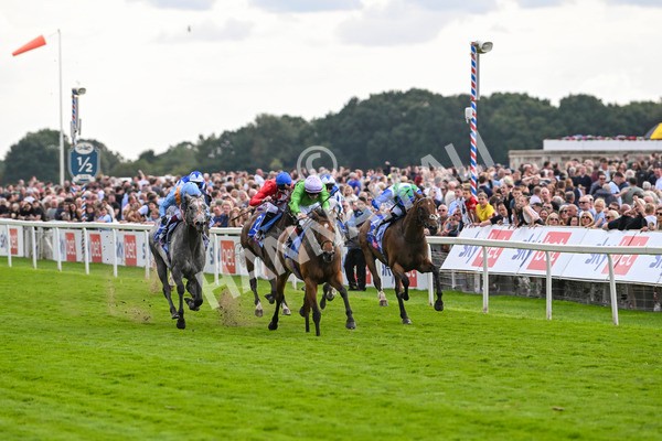 240824-Race 3-Breege-1402 - Race 3 3.00pm Sky Bet City Of York Stakes