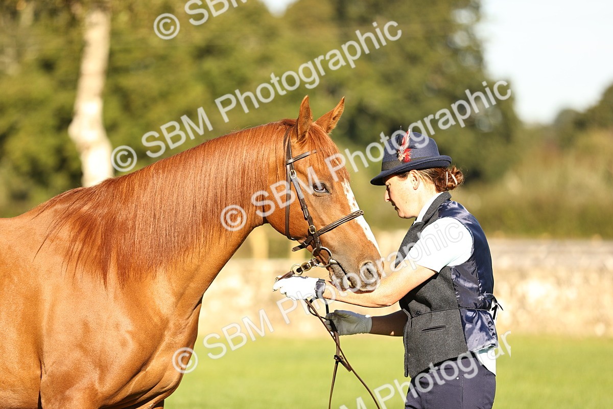 SBM_15736 - S1 - TSR in Hand Horse & Pony Showing
