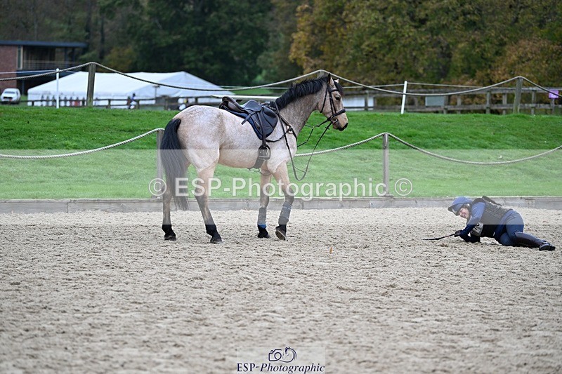 241116-105711-00729 - Cls 2 80-85cm Start to 11.30