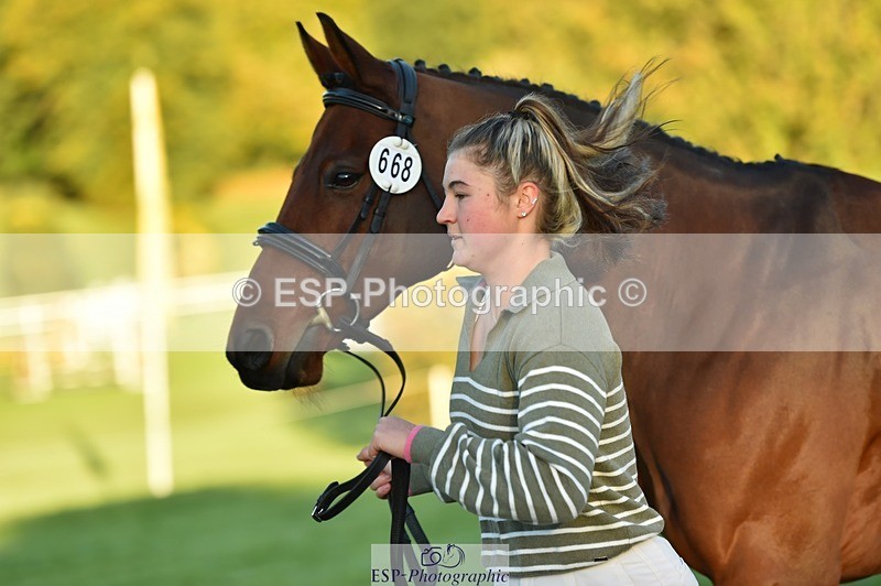 231022-085124-21405 - 668-BOWHAYLANDS.SKYFALL-Miya.Johns-TrotUp+SJ